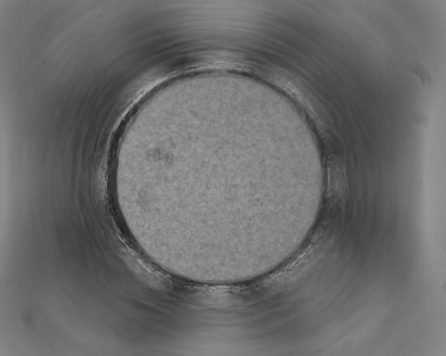 X0000112030828200908311213