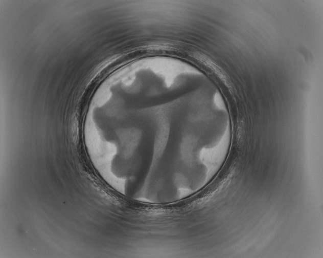 X0000112030829200908311213