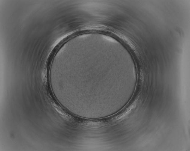 X0000112030830200908311213