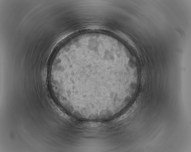 X0000112030831200908311213