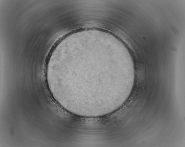 X0000112030832200908311214