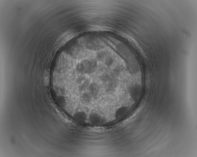 X0000112030833200908311214