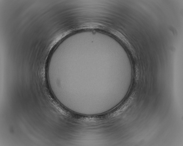 X0000112030834200908311214