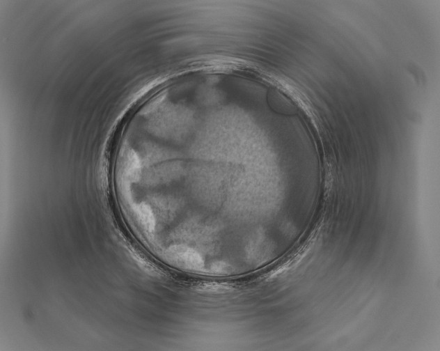 X0000112030835200908311214