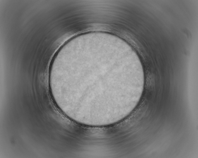 X0000112030836200908311214