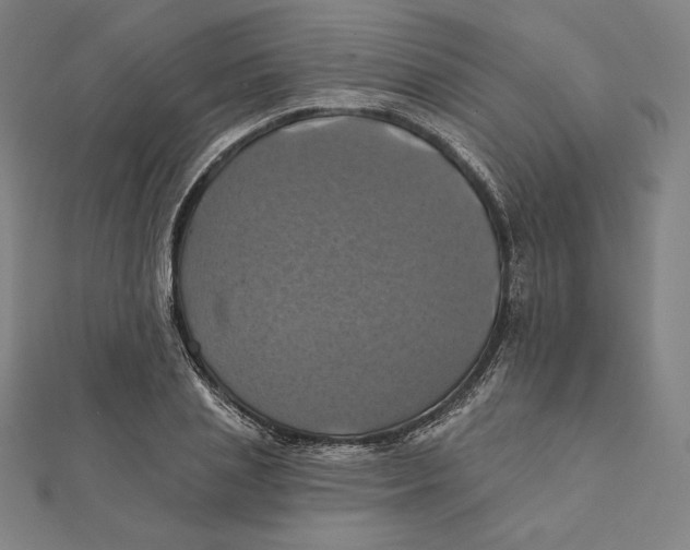 X0000112030837200908311214