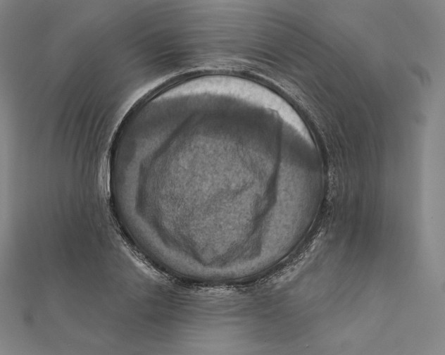 X0000112030838200908311214