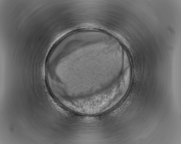 X0000112030839200908311214