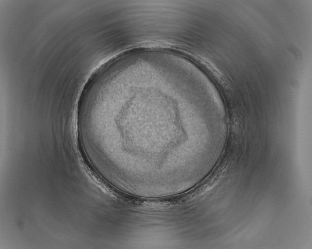 X0000112030840200908311214