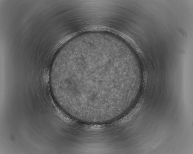 X0000112030841200908311214