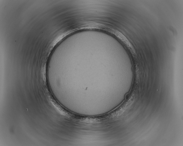 X0000112030842200908311214