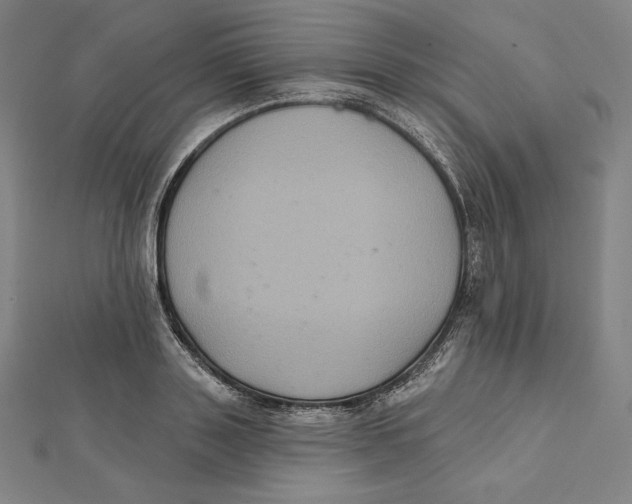 X0000112030843200908311214