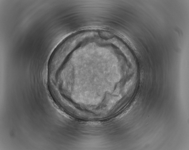 X0000112030844200908311214