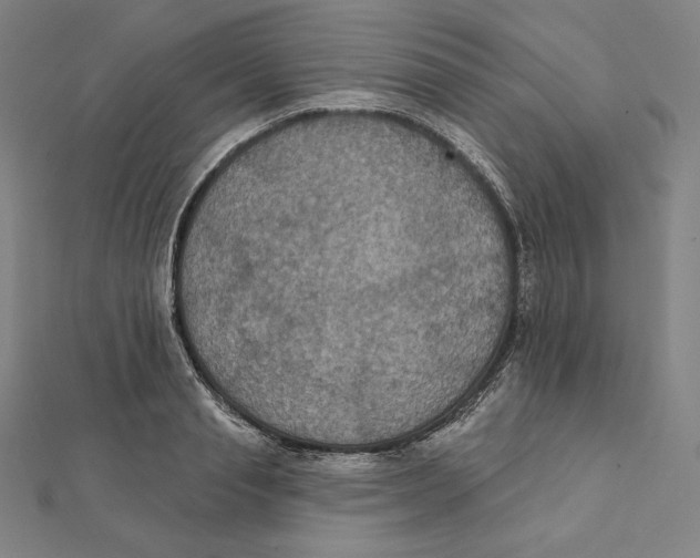 X0000112030845200908311214