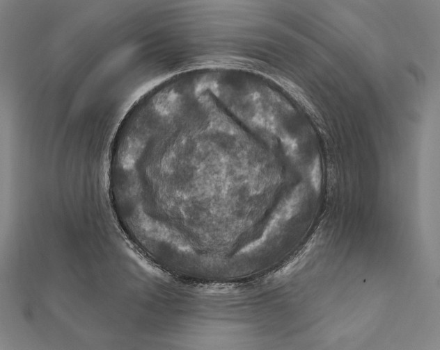 X0000112030846200908311214