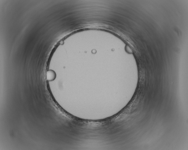 X0000112030848200908311214