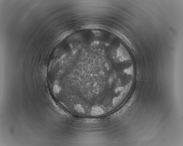 X0000112030849200908311214
