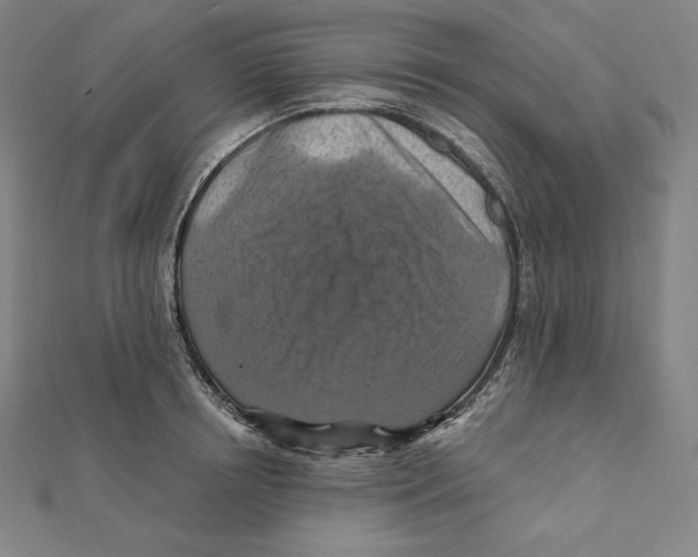 X0000112030850200908311214