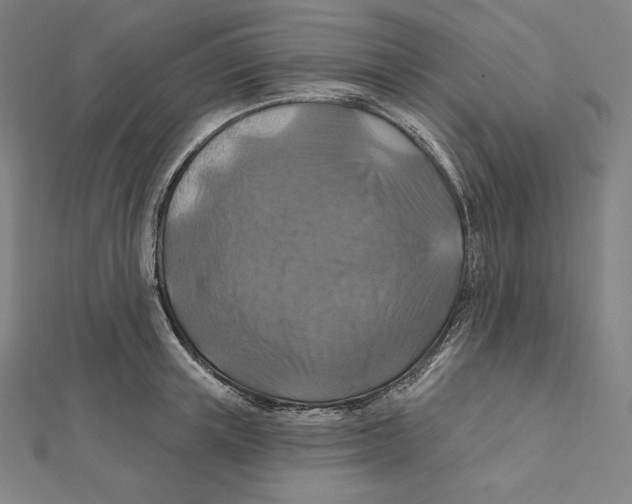 X0000112030851200908311214