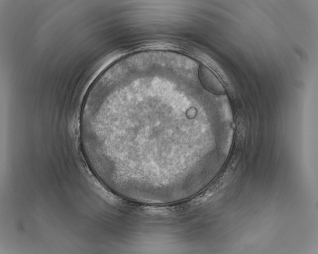 X0000112030852200908311214