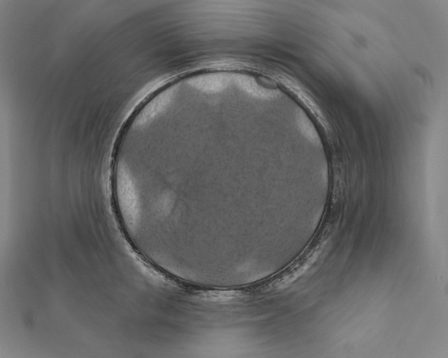X0000112030853200908311214