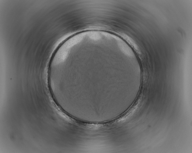 X0000112030854200908311214