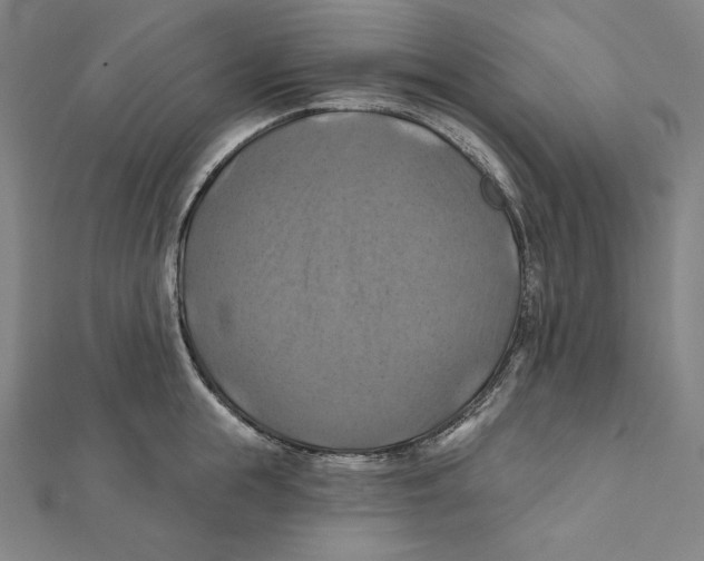 X0000112030855200908311214