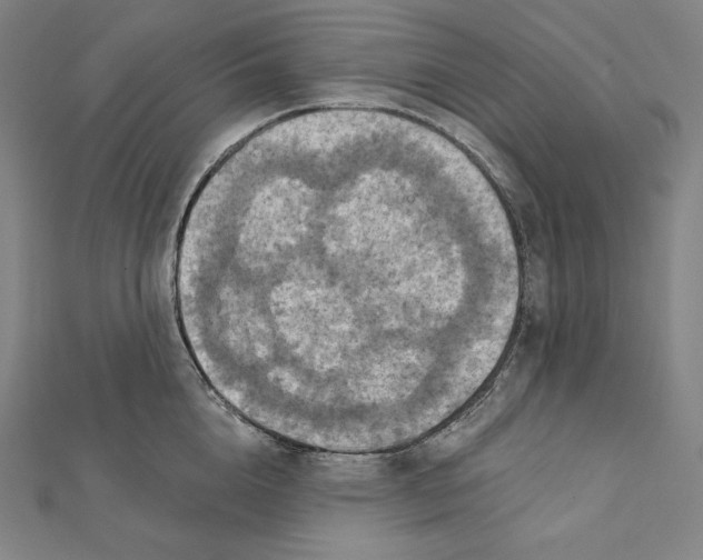 X0000112030856200908311214