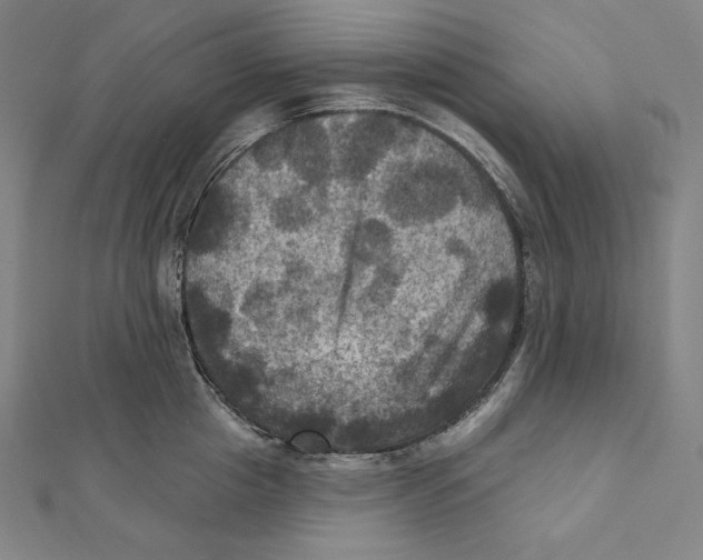 X0000112030857200908311214
