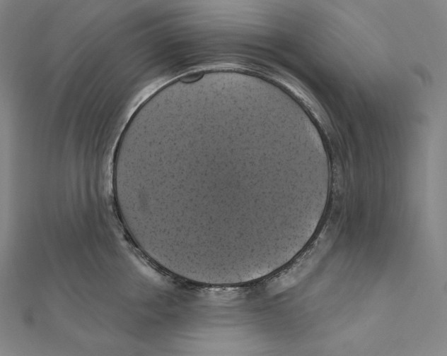 X0000112030858200908311214