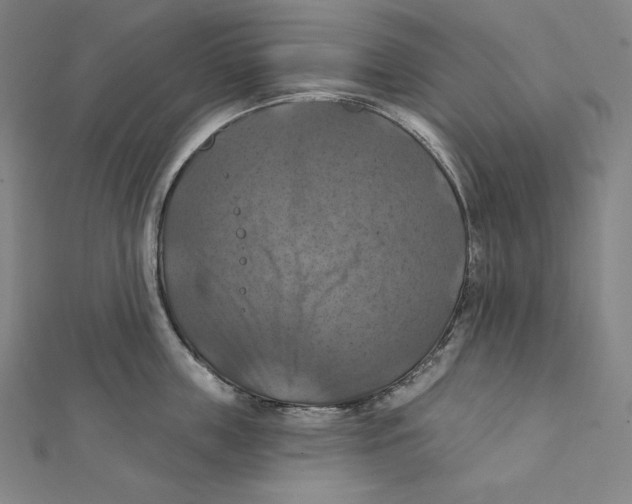 X0000112030859200908311214