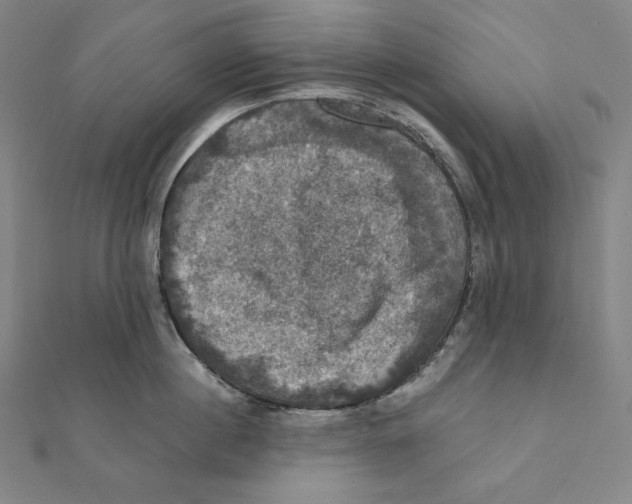 X0000112030860200908311214