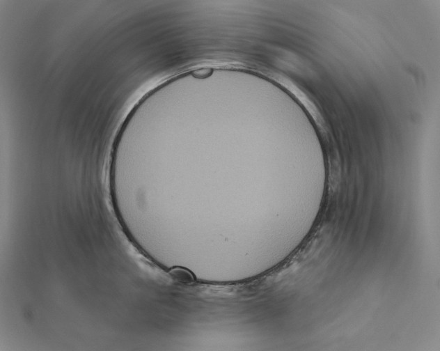 X0000112030861200908311214
