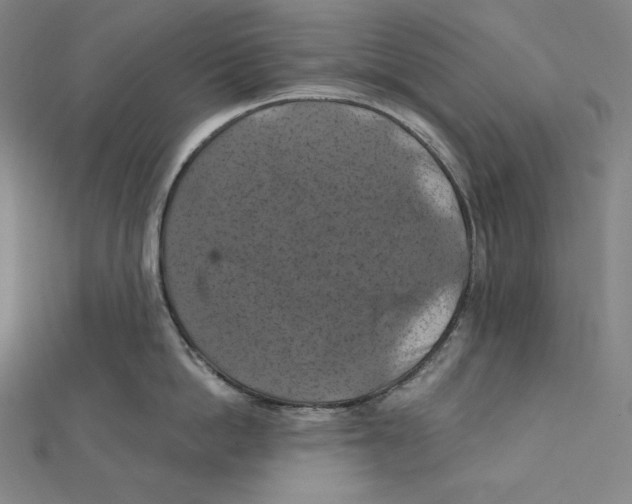 X0000112030862200908311214