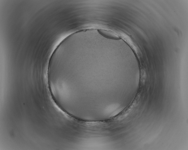 X0000112030863200908311214
