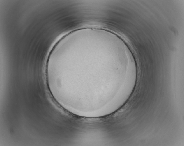 X0000112030864200908311214