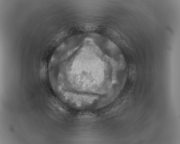 X0000112030866200908311213