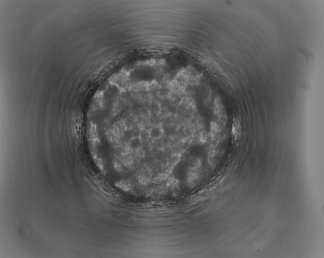 X0000112030867200908311213