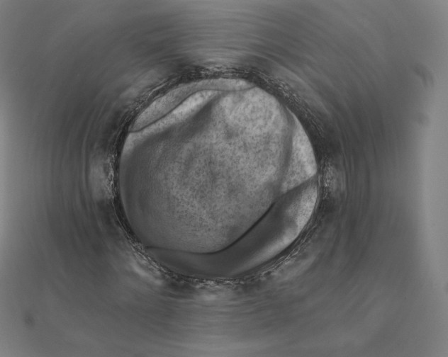 X0000112030868200908311213