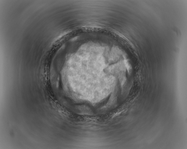 X0000112030870200908311213