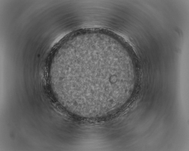 X0000112030871200908311213