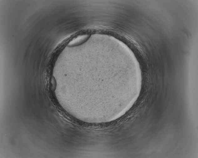 X0000112030872200908311213