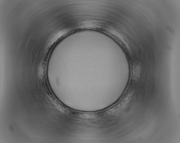 X0000112030874200908311213