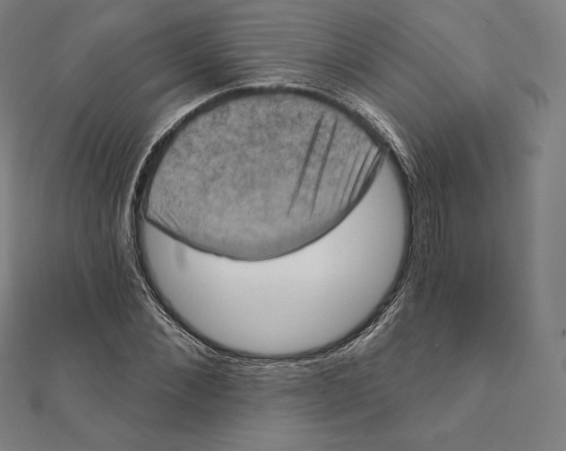 X0000112030876200908311213