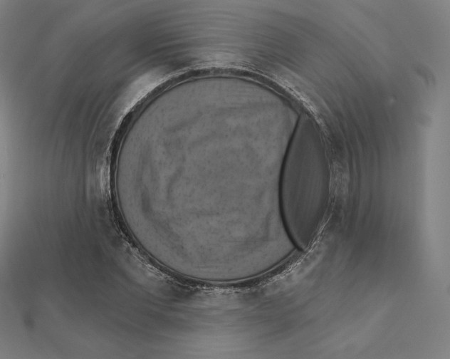 X0000112030877200908311213