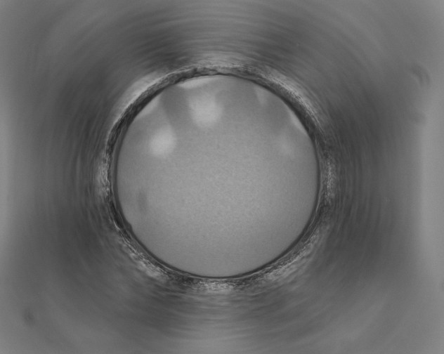 X0000112030878200908311213