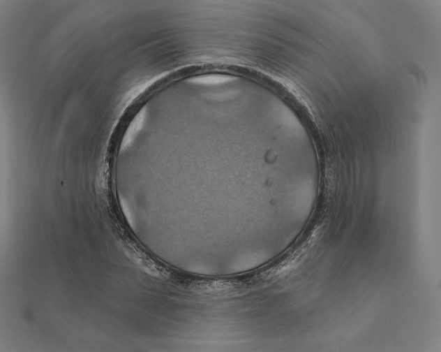 X0000112030879200908311213