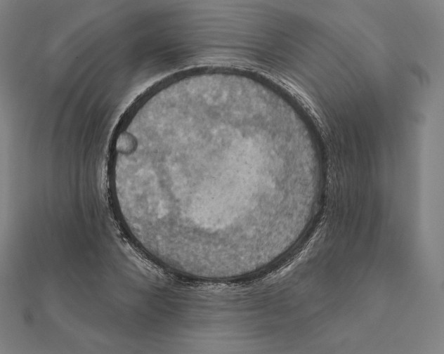 X0000112030880200908311213