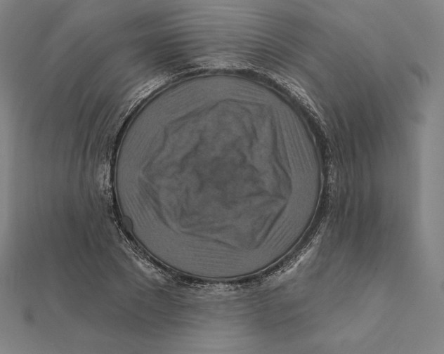 X0000112030881200908311213
