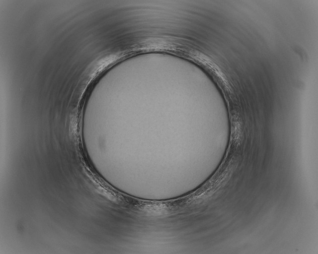 X0000112030882200908311213